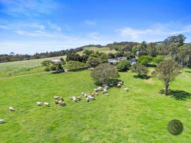 Farm For Sale - QLD - Pie Creek - 4570 - “THE SPRINGS”, AN EXCEPTIONAL RURAL PROPERTY WHERE VERSATILITY SPRINGS TO MIND  (Image 2)