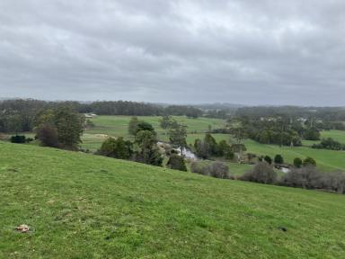 Farm For Sale - TAS - Flowerdale - 7325 - Wynyard Farmlet  (Image 2)