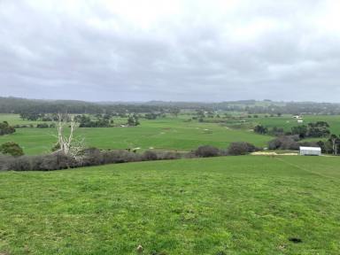 Farm For Sale - TAS - Flowerdale - 7325 - Wynyard Farmlet  (Image 2)