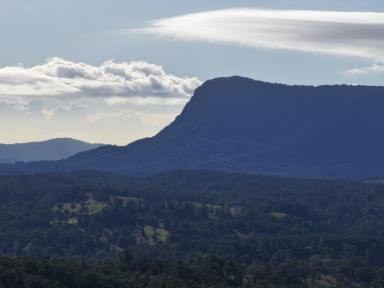 Farm For Sale - NSW - Kyogle - 2474 - "TOP OF THE WORLD"  (Image 2)