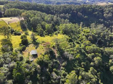 Farm For Sale - NSW - Kyogle - 2474 - "TOP OF THE WORLD"  (Image 2)