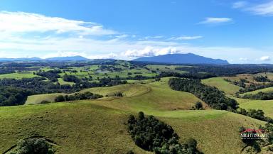 Farm For Sale - QLD - Tarzali - 4885 - Permanent Water I 222 Acres I Impeccable Views  (Image 2)