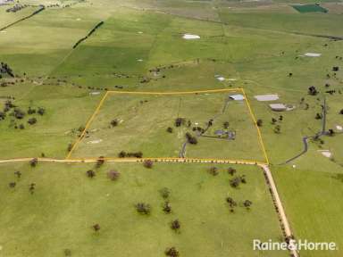 Farm For Sale - NSW - Glanmire - 2795 - THE COMPLETE PACKAGE ON 72 ACRES  (Image 2)