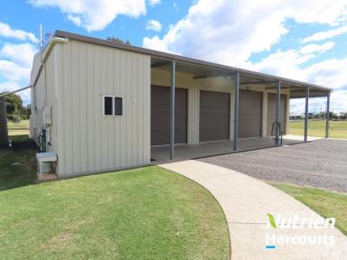 Farm For Sale - QLD - Chinchilla - 4413 - Under Contract by Team Barker  (Image 2)