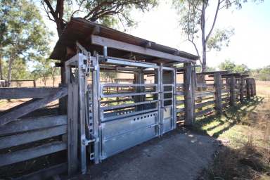 Farm For Sale - QLD - Mundubbera - 4626 - 'Beeron' - Top Notch Breeder Block  (Image 2)