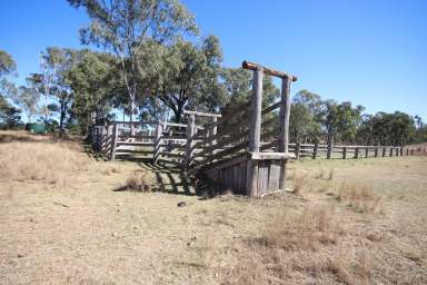 Farm For Sale - QLD - Mundubbera - 4626 - 'Beeron' - Top Notch Breeder Block  (Image 2)