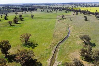 Farm For Sale - NSW - Young - 2594 - Predominantly Mixed Farming Enterprise in a Tightly Held Blue Ribbon District.  (Image 2)