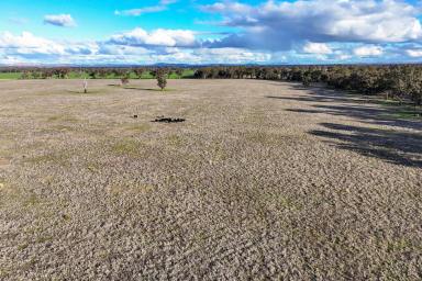 Farm For Sale - NSW - Young - 2594 - Predominantly Mixed Farming Enterprise in a Tightly Held Blue Ribbon District.  (Image 2)