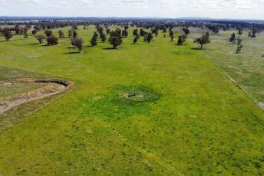 Farm For Sale - NSW - Young - 2594 - Predominantly Mixed Farming Enterprise in a Tightly Held Blue Ribbon District.  (Image 2)