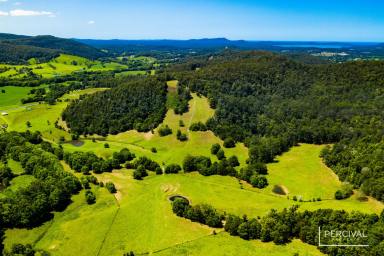 Farm Sold - NSW - Lorne - 2439 - Secluded Pastures & River Frontage (66.3 ha / 164 acres)  (Image 2)