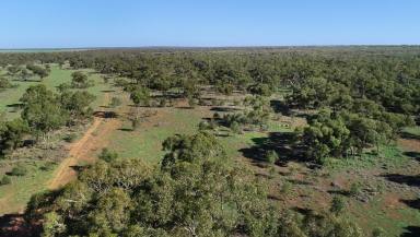 Farm For Sale - NSW - Cobar - 2835 - Karoo  (Image 2)