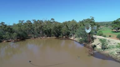 Farm For Sale - NSW - Cobar - 2835 - Karoo  (Image 2)