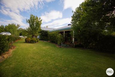 Farm For Sale - NSW - Stuart Town - 2820 - Fantastic homestead, fantastic  14 acre* lifestyle block at Stuart Town  (Image 2)