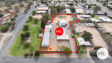 Farm For Sale - NSW - Wentworth - 2648 - Unique Property with Endless Possibilities  (Image 2)