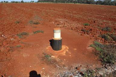 Farm For Sale - QLD - Kingaroy - 4610 - 'Whiterock' - Versatile Red Soil Farming  (Image 2)