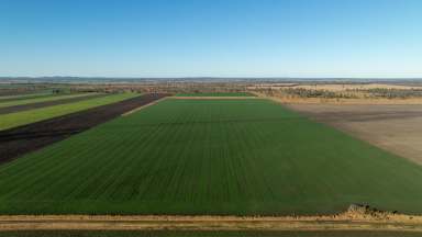 Farm Sold - QLD - Tummaville - 4352 - Pittsworth District Property - 130 years family history  (Image 2)