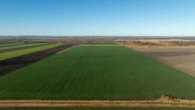 Farm Auction - QLD - Tummaville - 4352 - Pittsworth District Property - 130 years family history  (Image 2)