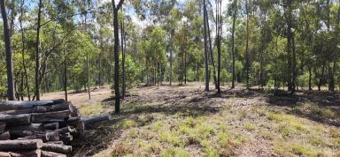 Farm For Sale - QLD - St Kilda - 4671 - Thirty Acre Bush Block in a Great Area  (Image 2)