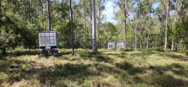 Farm For Sale - QLD - St Kilda - 4671 - Thirty Acre Bush Block in a Great Area  (Image 2)