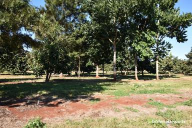 Farm For Sale - QLD - North Isis - 4660 - Starter Farm or Lifestyle Block!  (Image 2)