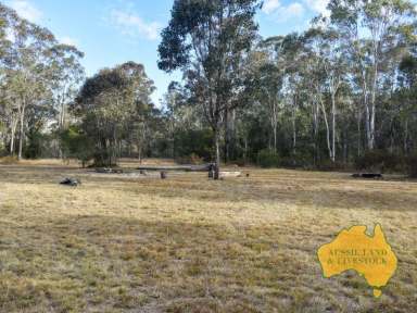 Farm For Sale - QLD - Nanango - 4615 - Serene bush retreat  (Image 2)