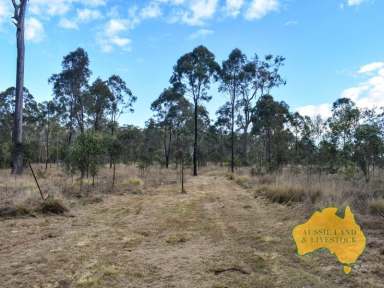 Farm For Sale - QLD - Nanango - 4615 - Serene bush retreat  (Image 2)