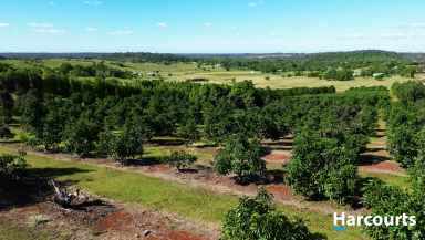 Farm For Sale - QLD - North Isis - 4660 - SUNRISE AND SUNSETS  (Image 2)