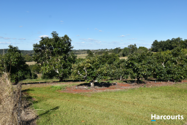 Farm For Sale - QLD - North Isis - 4660 - SUNRISE AND SUNSETS  (Image 2)