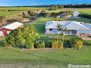 Farm For Sale - QLD - Te Kowai - 4740 - Beautifully Renovated Acreage!  (Image 2)