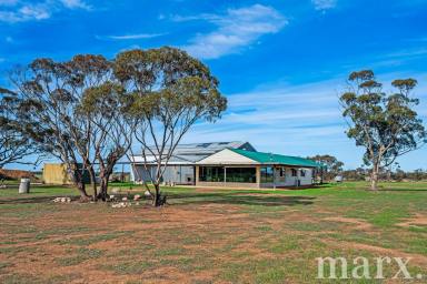 Farm For Sale - SA - Truro - 5356 - Looking to escape the hustle and bustle and live sustainably?  (Image 2)