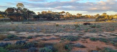 Farm For Sale - SA - Port Augusta West - 5700 - Ideal location for Housing Development or Lifestyle Community  (Image 2)