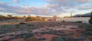 Farm For Sale - SA - Port Augusta West - 5700 - Ideal location for Housing Development or Lifestyle Community  (Image 2)