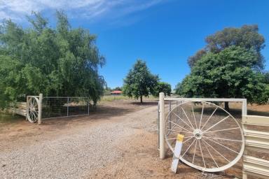 Farm For Sale - NSW - Parkes - 2870 - Potential Plus - When Location matters don't miss this one!  (Image 2)