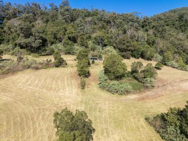 Farm Auction - NSW - Jamberoo - 2533 - 'Wandearah'  (Image 2)