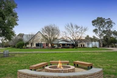 Farm Auction - VIC - Maiden Gully - 3551 - Bendigo - Central Victoria  (Image 2)