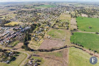 Farm For Sale - NSW - Harden - 2587 - DEVELOPMENT OPPORTUNITY  (Image 2)