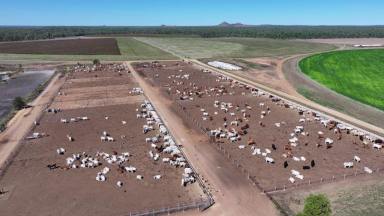 Farm Expressions of Interest - QLD - Breddan - 4820 - An impressive, integrated Farming, Feedlot and Grazing operation  (Image 2)