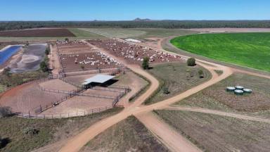 Farm Expressions of Interest - QLD - Breddan - 4820 - An impressive, integrated Farming, Feedlot and Grazing operation  (Image 2)