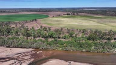 Farm Expressions of Interest - QLD - Breddan - 4820 - Strategically located Upper Burdekin farming opportunity   (Image 2)