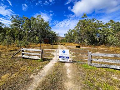 Farm For Sale - QLD - Mutchilba - 4872 - UNIQUE 400 ACRES THAT WILL EXCELL YOUR LIFE STYLE  (Image 2)