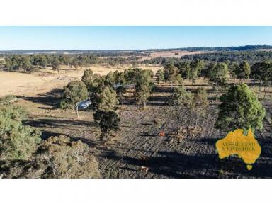 Farm For Sale - QLD - Proston - 4613 - Hidden Gem, great starter block, additional area or hideaway.  (Image 2)