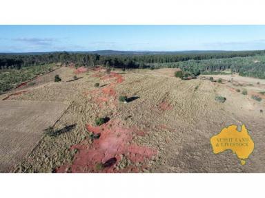 Farm For Sale - QLD - Proston - 4613 - Hidden Gem, great starter block, additional area or hideaway.  (Image 2)