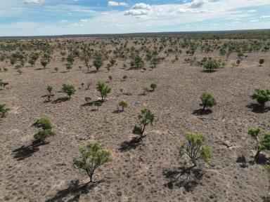 Farm For Sale - NSW - Cumborah - 2832 - North West Grazing - Enormous Scale  (Image 2)