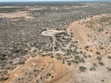 Farm For Sale - NSW - Cumborah - 2832 - North West Grazing - Enormous Scale  (Image 2)