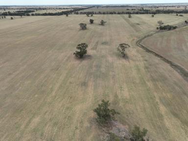 Farm For Sale - NSW - Collie - 2827 - Central West Mixed Farming & Grazing  (Image 2)