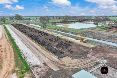 Farm For Sale - VIC - Lancaster - 3620 - OUTSTANDING CUSTOM FEED OPERATION  (Image 2)