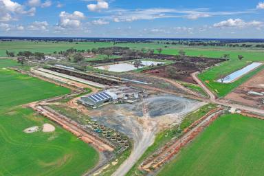 Farm For Sale - VIC - Lancaster - 3620 - OUTSTANDING CUSTOM FEED OPERATION  (Image 2)