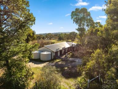 Farm For Sale - VIC - Harcourt - 3453 - Tranquil Equestrian Paradise: Kooyong Stud Farm's Country Homestead on 40 Acres  (Image 2)