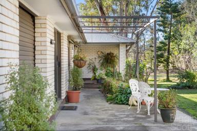 Farm For Sale - VIC - Harcourt - 3453 - Tranquil Equestrian Paradise: Kooyong Stud Farm's Country Homestead on 40 Acres  (Image 2)