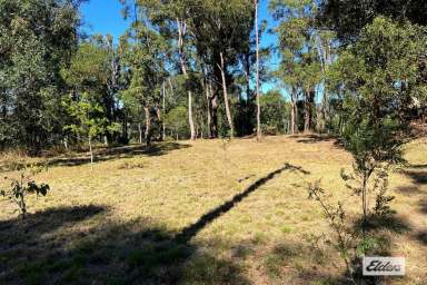 Farm For Sale - QLD - Jones Hill - 4570 - Lot 4 McIntosh Creek Rd, Jones Hill - Your Perfect Elevated Retreat Close to Town  (Image 2)